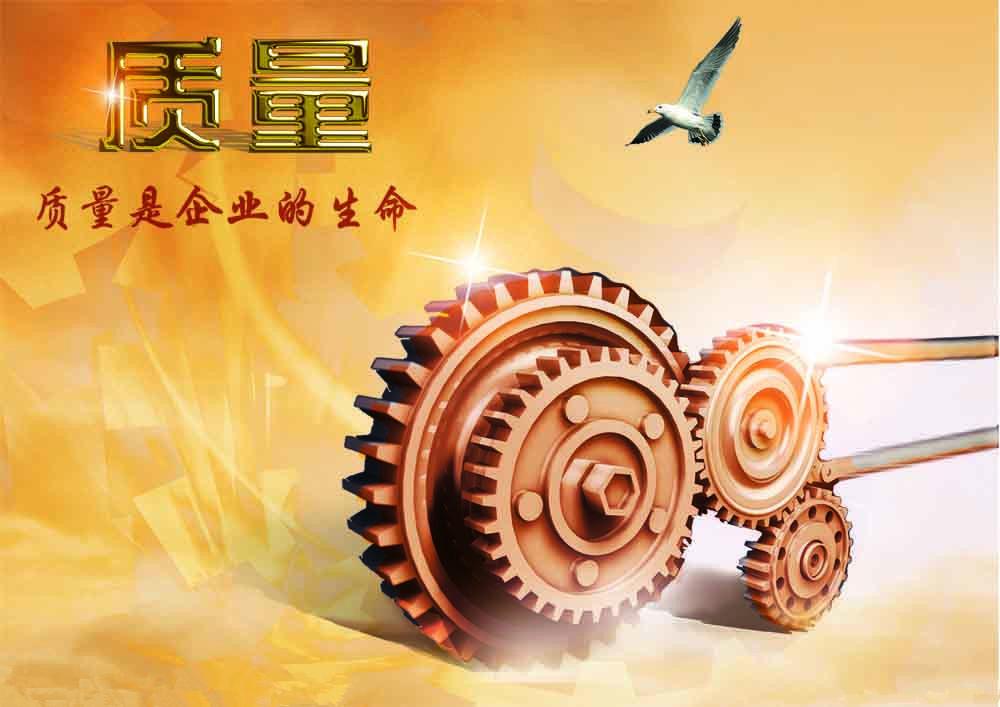 筑质量大堤，迎世纪挑战(图1)