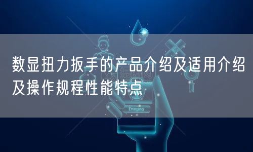 数显扭力扳手的产品介绍及适用介绍及操作规程性能特点(图1)