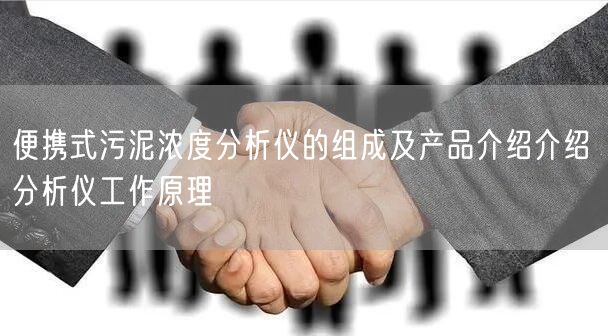 便携式污泥浓度分析仪的组成及产品介绍介绍 分析仪工作原理(图1)