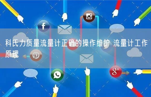 科氏力质量流量计正确的操作维护 流量计工作原理(图1)
