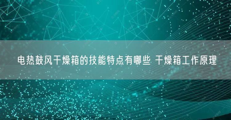 电热鼓风干燥箱的技能特点有哪些 干燥箱工