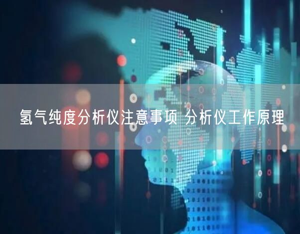 氢气纯度分析仪注意事项 分析仪工作原理(图1)