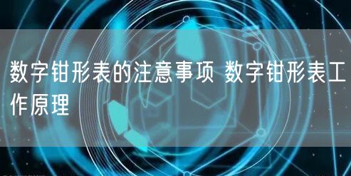 数字钳形表的注意事项 数字钳形表工作原理(图1)