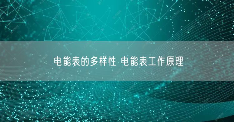 电能表的多样性 电能表工作原理(图1)