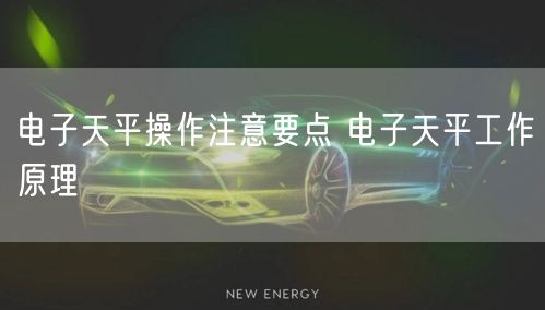 电子天平操作注意要点 电子天平工作原理(图1)