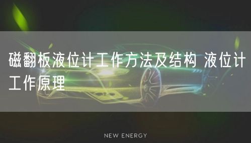 磁翻板液位计工作方法及结构 液位计工作原理(图1)