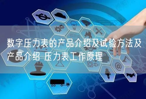 数字压力表的产品介绍及试验方法及产品介绍 压力表工作原理(图1)