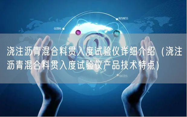 浇注沥青混合料贯入度试验仪详细介绍（浇注沥青混合料贯入度试验仪产品技术特点）(图1)