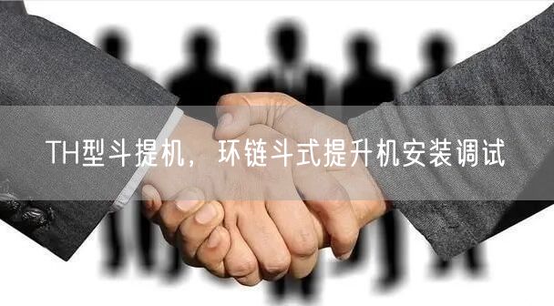 TH型斗提机，环链斗式提升机安装调试(图1)