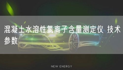 混凝土水溶性氯离子含量测定仪 技术参数(图1)